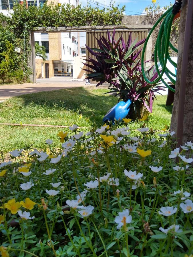 Hostel Consciente Aracaju Exteriér fotografie